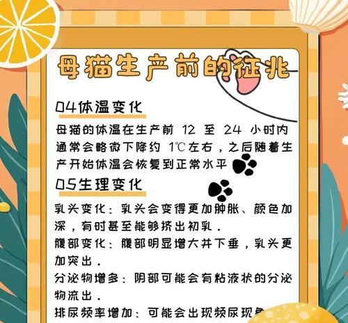 母猫的怀孕期与分娩过程（探索母猫的孕育奇迹，了解母猫分娩的关键时间节点）