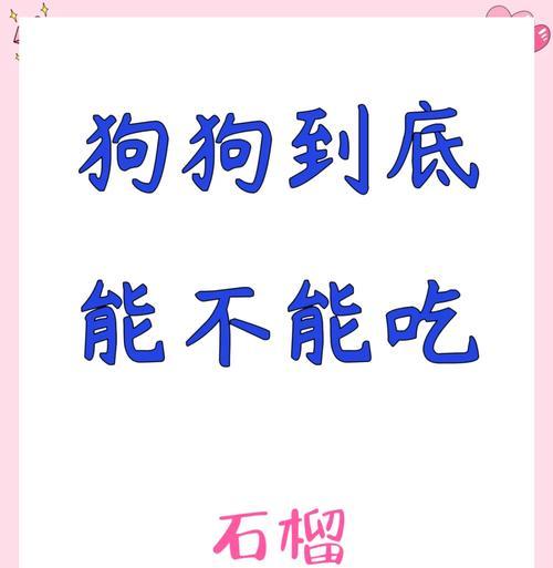 狗不能吃的食物大揭秘！（保护你的宠物，远离这些食物！）
