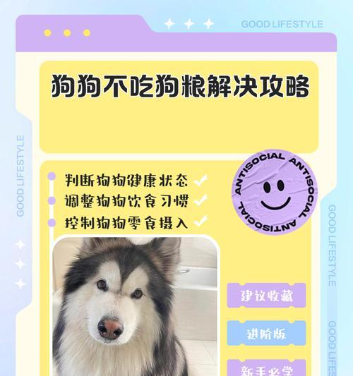幼犬什么时候开始吃狗粮？（狗粮起到了幼犬成长的关键作用）