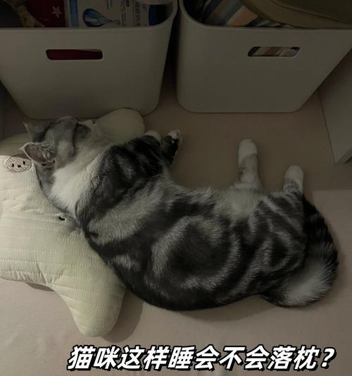 揭秘猫咪睡觉时间长的原因（懒散还是自然规律？解析猫咪每天15小时的睡眠）