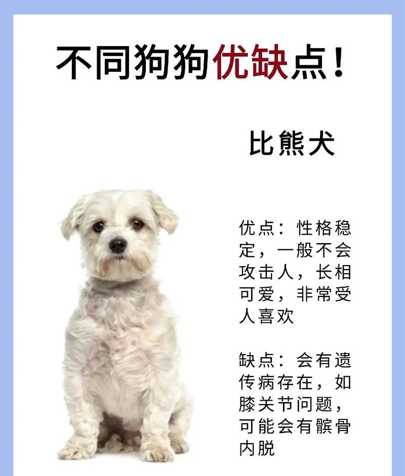 揭秘狗界的长寿之星——7种寿命可长达20年的狗狗（探寻狗狗寿命之谜，解读长寿品种的秘密）