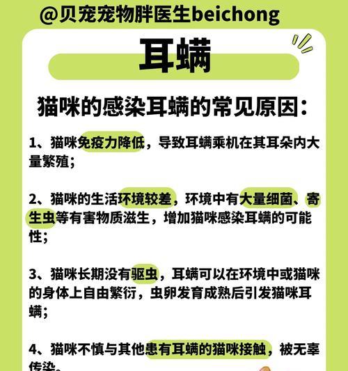 猫耳螨治疗需要多长时间？（揭秘猫耳螨治疗的关键要点和时间预期）