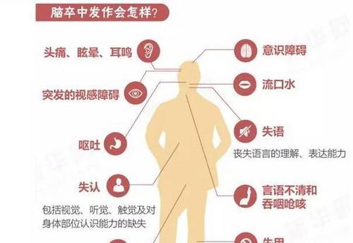 了解狗脑血栓症状的重要性（掌握狗脑血栓症状的关键信息，保护宠物健康）