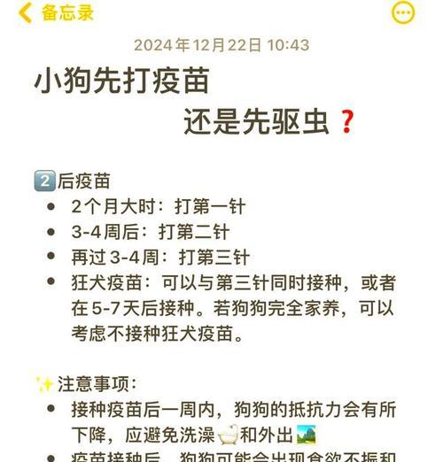 狗疫间隔多久才合适？（了解关键的间隔时间以保护您的狗狗健康）