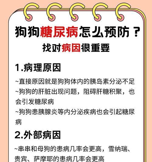 糖尿病狗狗的预期寿命及延长方法（挑战与希望——糖尿病狗狗的生命之旅）