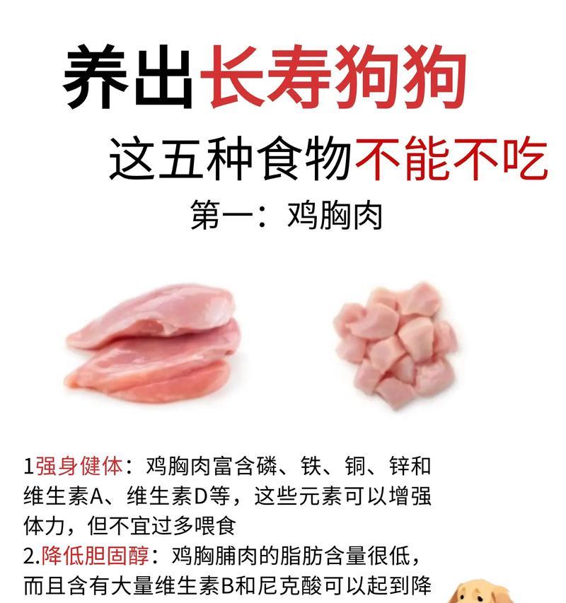 告别狗臭味，五种神奇的方式让你的狗狗香喷喷（五种去除狗臭味的方法，让你的宠物始终散发芳香）