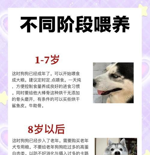 哈士奇的换毛周期及护理指南（解析哈士奇的毛发换代周期，掌握正确的换毛护理方法）