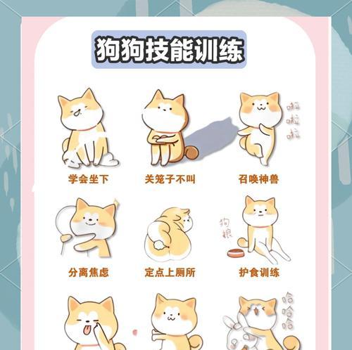 如何训练狗狗按指令吃饭？（掌握“吃饭”指令的关键步骤）