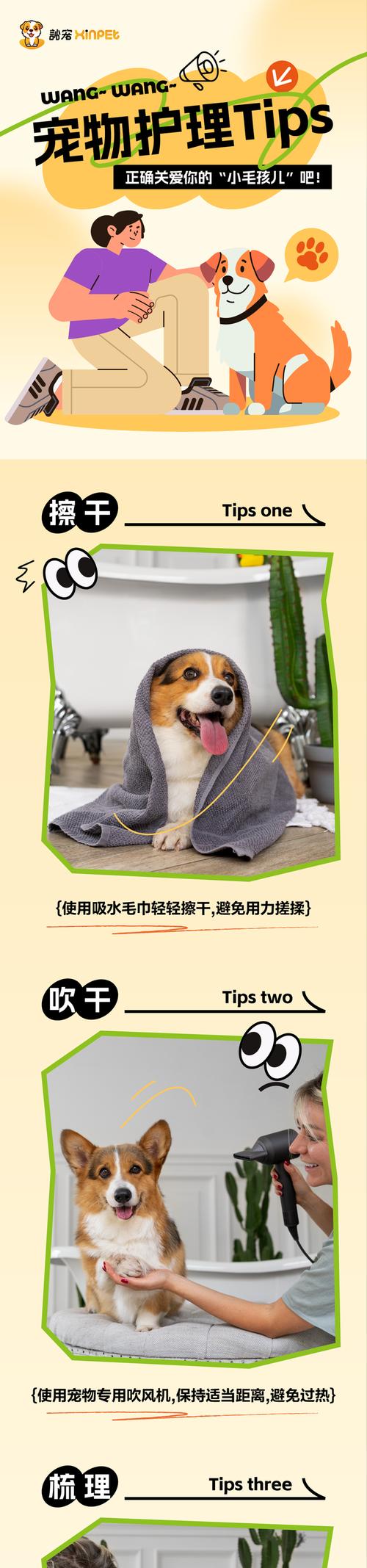 以岁数大的狗狗多久洗一次澡（护理老年犬的清洁需要及注意事项）