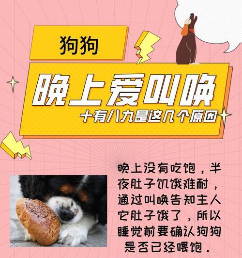 静默犬种（减少噪音扰民的选择和抚养技巧）