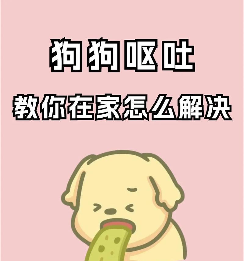 狗狗呕吐的原因及解决方法（探究狗狗呕吐的原因，给出合适的治疗方法）