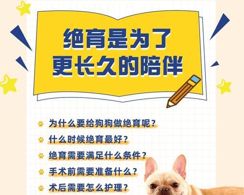 狗狗绝育后何时可以开始以肉为主食？（探索适合绝育狗狗的饮食时间表）