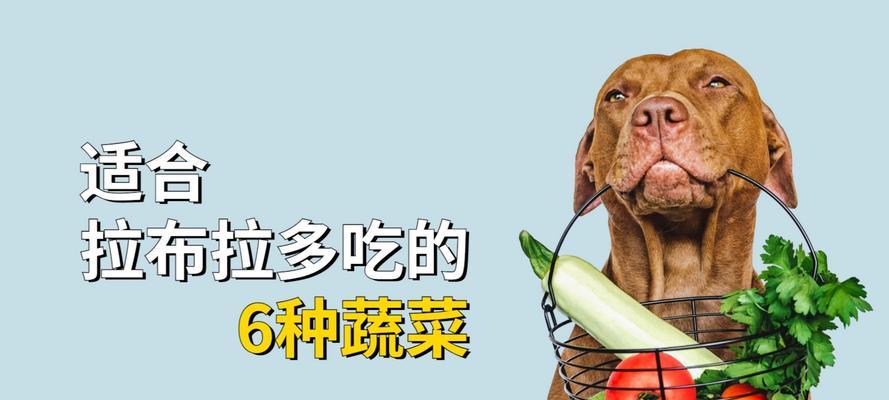 狗不能吃哪些蔬菜？（保护宠物狗健康的必知指南）