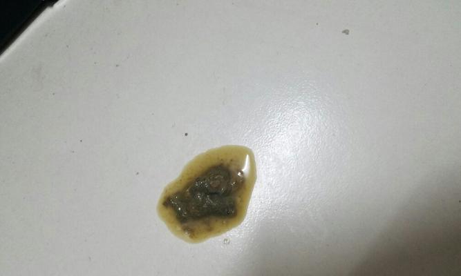 狗狗换粮后会拉稀多久？（了解狗粮换食导致腹泻的时间和方法）