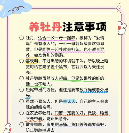以鹦鹉喂奶多久消化的关键因素（探索鹦鹉消化过程的时间与影响因素）