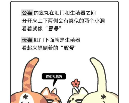 幼猫离开母猫的最佳时机（研究发现）