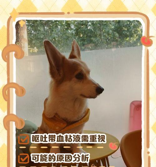 狗狗呕吐的常见原因及应对方法（了解8个常见原因，预防狗狗呕吐的关键）