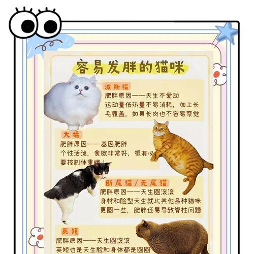 猫为什么长不胖？（探索猫咪保持苗条身材的原因）