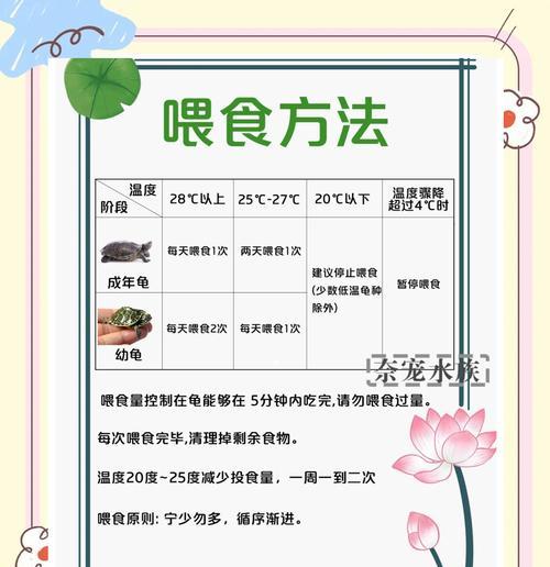冬季温度低导致乌龟不爱吃食的解决方法（控制温差，加温饲养乌龟）
