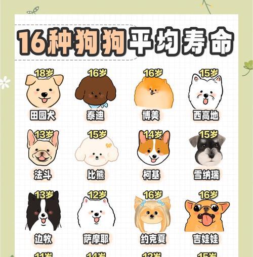狗配种时间分开的重要性（繁殖间隔的关键因素与合理调控）