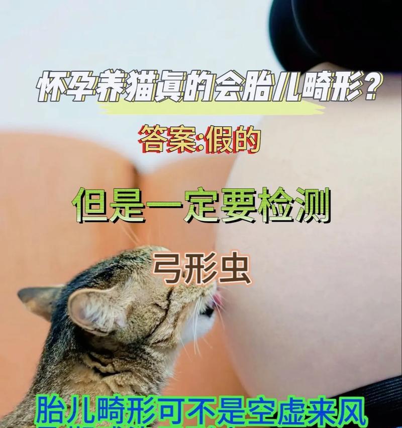 孕妇感染弓形体原虫会引发哪些反应？（了解孕妇感染弓形体原虫的症状和影响）