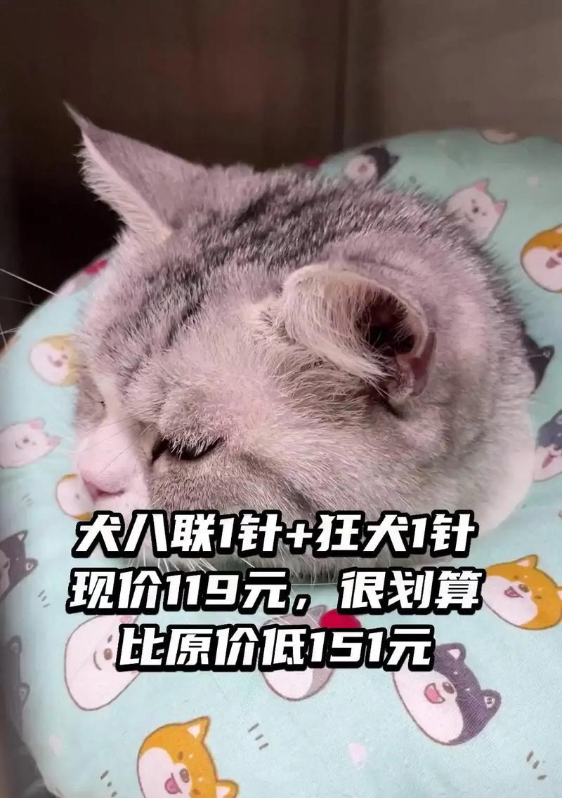 揭开被忽视的宠物犬冠状病毒的真相（重新认识这一潜在威胁，保护我们的毛茸伙伴）