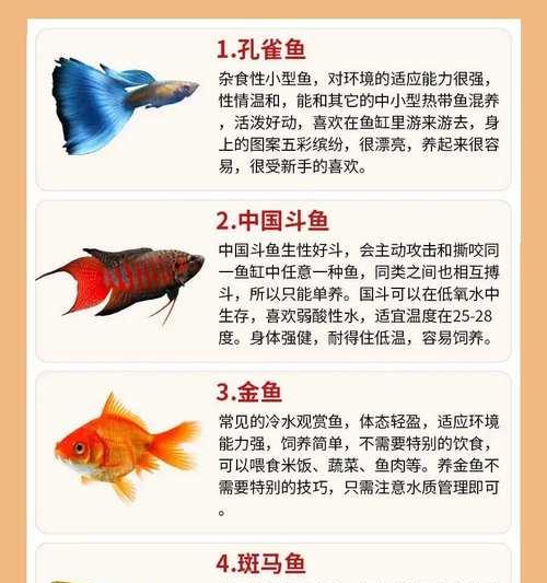 金鱼世界的多样美（探索金鱼的种类与特点）