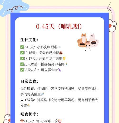泰迪狗怀孕周期及注意事项（了解泰迪狗的怀孕周期，做好繁育前的准备）