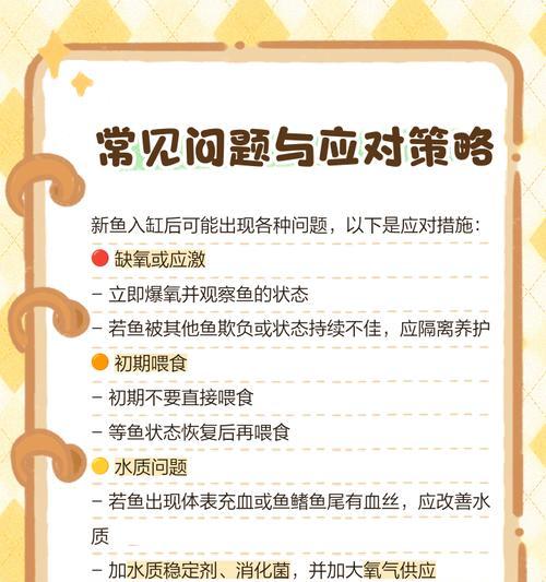 新鱼入缸的最佳时间和方法（探讨新鱼入缸的时间长度和步骤，为养鱼爱好者提供实用建议）