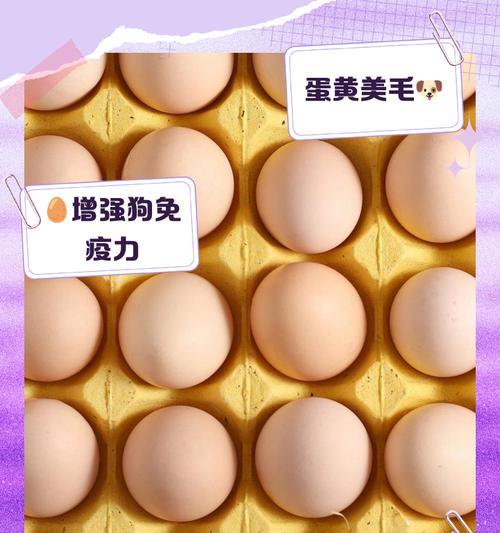 狗狗的饮食健康（揭秘鸡蛋对狗狗健康的重要性）