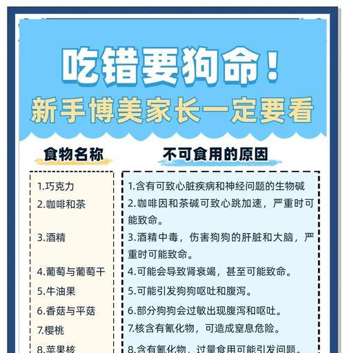如何纠正博美的贪吃问题（解决博美吃撑症状的有效方法）