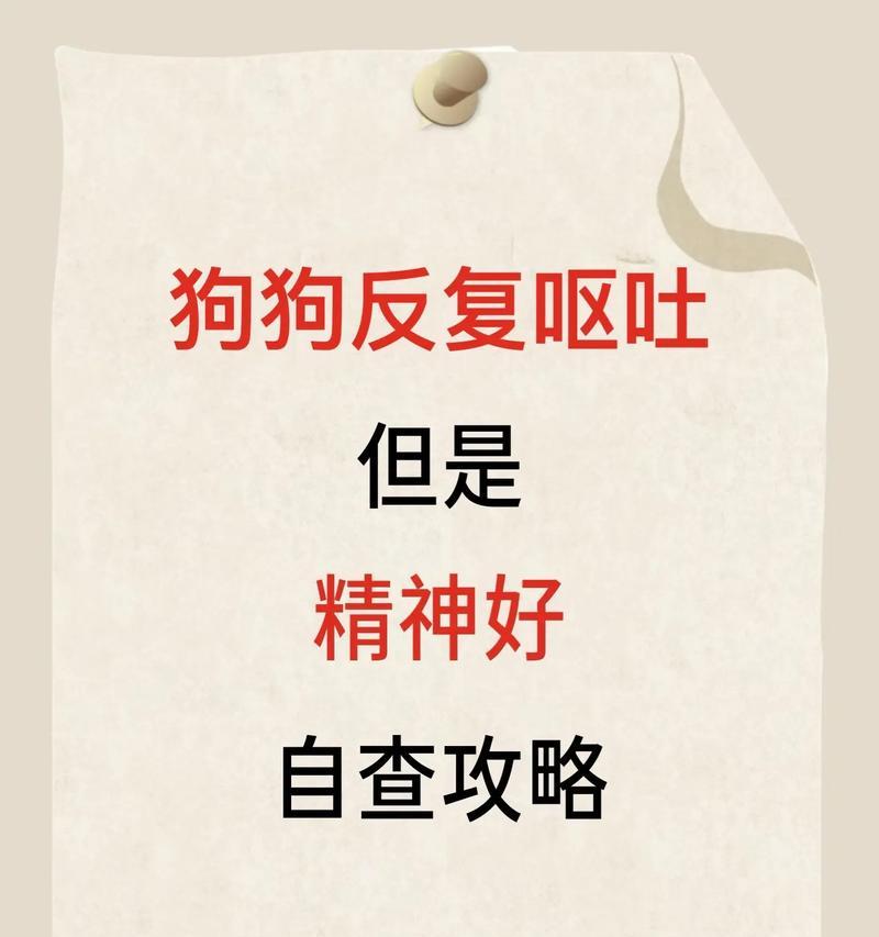 狗狗为什么会呕吐狗粮？（探究狗狗呕吐狗粮的原因及解决方法）