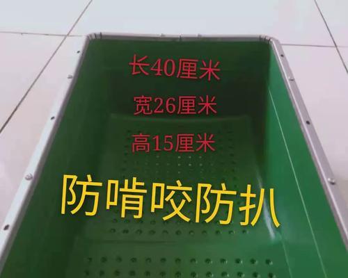 兔子如何搭建窝并预测生产时间？（窝建设与繁殖周期——了解兔子的家居习性和繁殖特点）