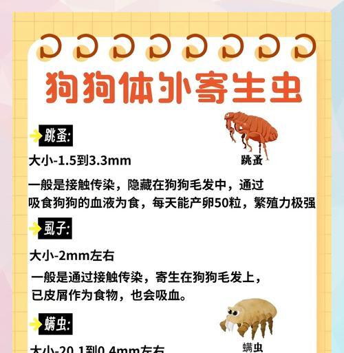 狗狗体内驱虫后多久拉？（探讨狗狗驱虫后的排便情况）