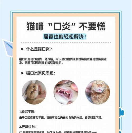 猫咪口腔溃疡（了解治愈口腔溃疡的进程和时间要求）