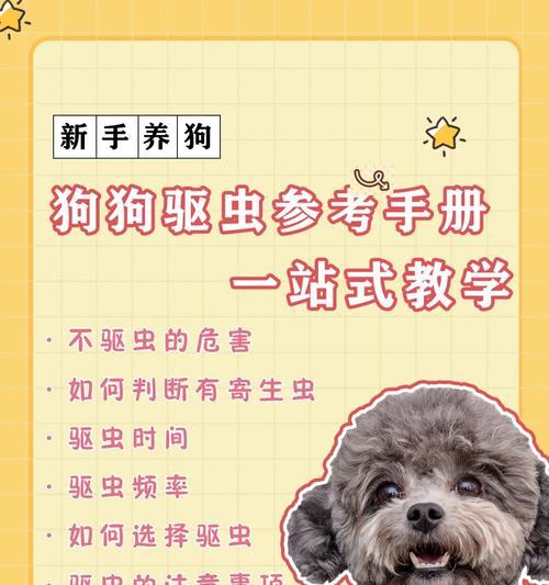 如何判断是否需要给狗狗驱虫？（体外驱虫操作方法及注意事项）