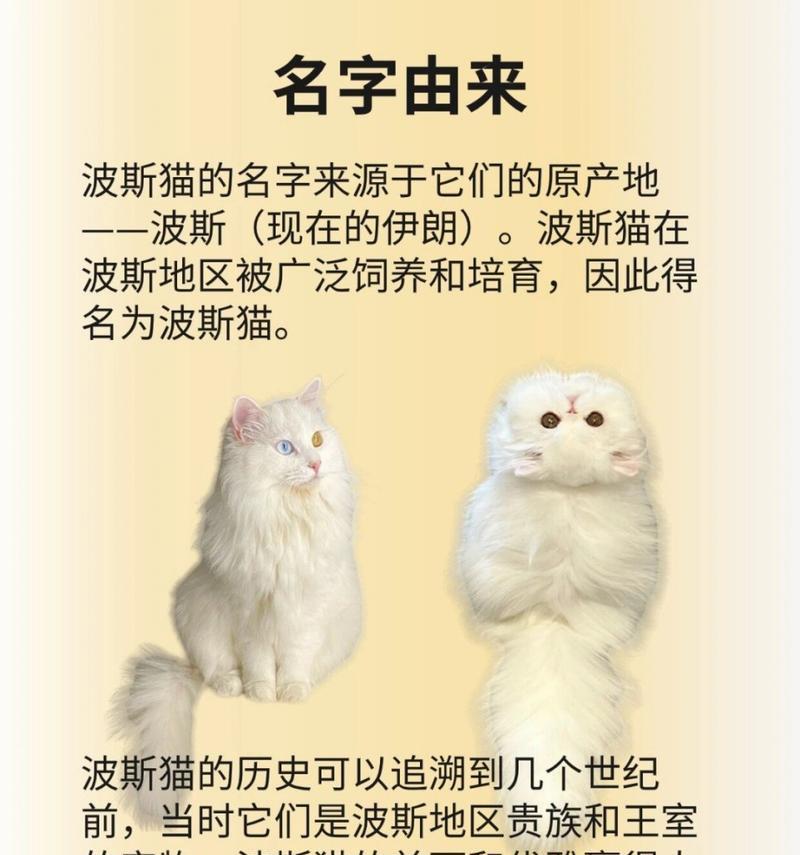 猫中王妃（探索波斯猫为何成为众多人喜爱的宠物）