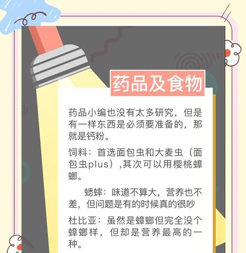 蜥蜴的生活习惯揭秘（探寻蜥蜴的生存之道）
