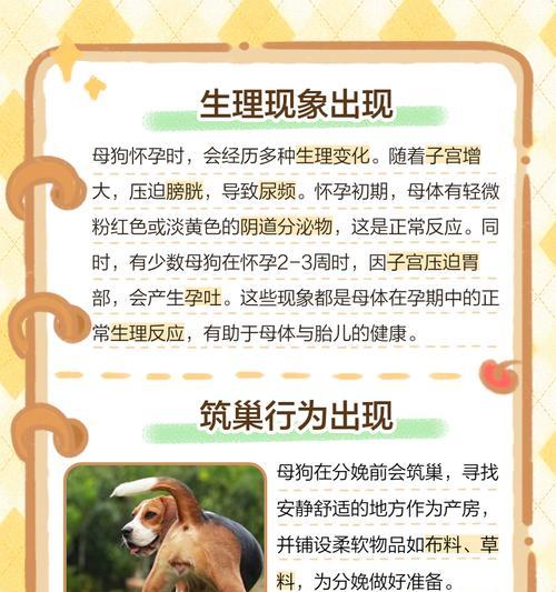 母狗怀孕期间大量喝水的原因及注意事项（了解母狗怀孕期间的水摄入量，保护母狗和胎儿的健康）