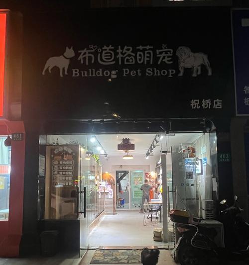 探寻上海浦东的宠物乐园（揭秘浦东区最受欢迎的宠物店，带您走进动物王国）