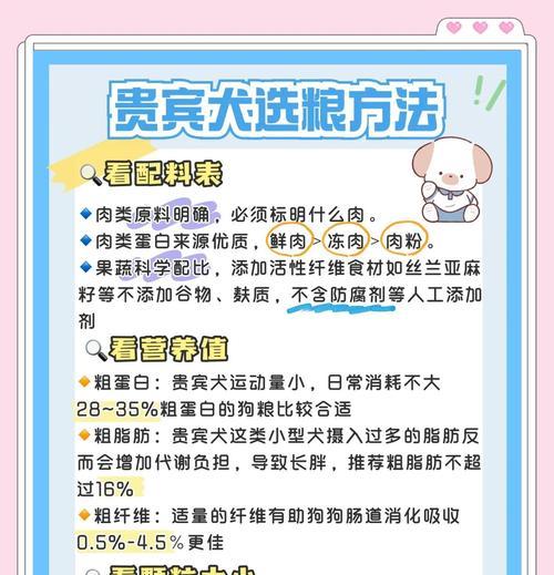 怀孕后的泰迪照顾指南（为您的宠物提供细心呵护，让泰迪在怀孕期间健康快乐）