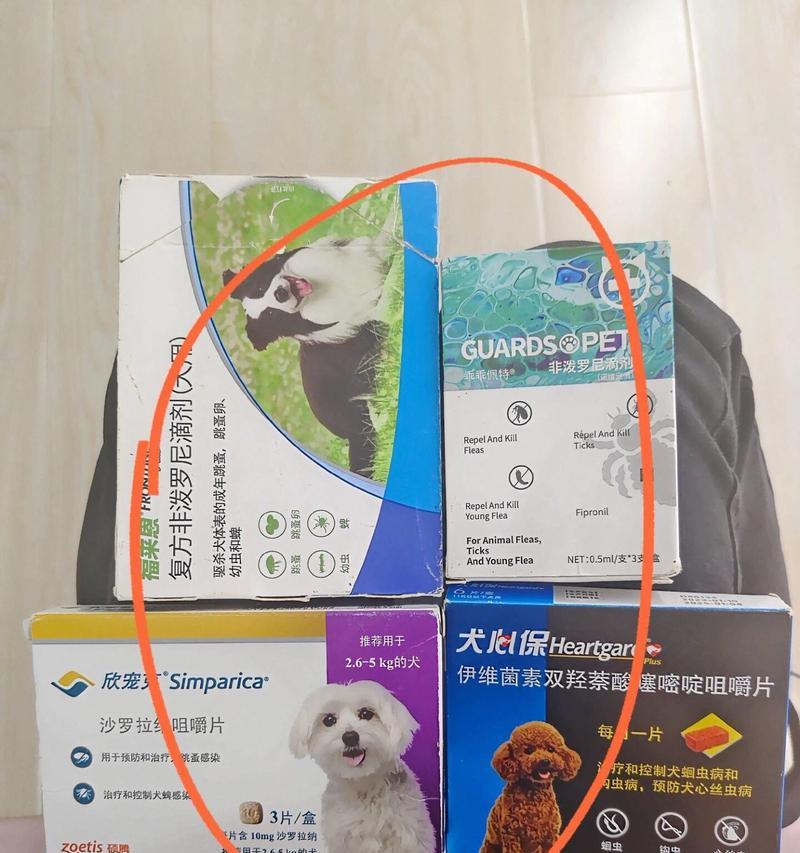 宠物家庭常备药品合集（为你的铲屎官身体健康保驾护航）