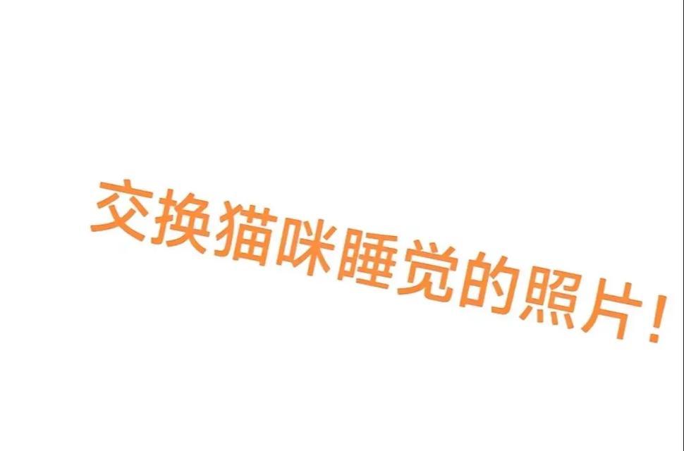 探究3个月大猫咪的睡眠习惯（揭秘3个月小猫咪睡眠规律与注意事项）