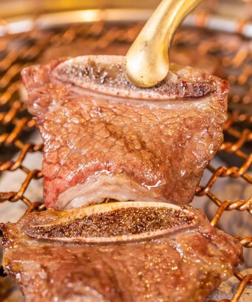 26磅萨摩能吃多久？——揭秘一只萨摩耗食量之谜（了解萨摩的饮食需求，为宠物提供合理的饮食）