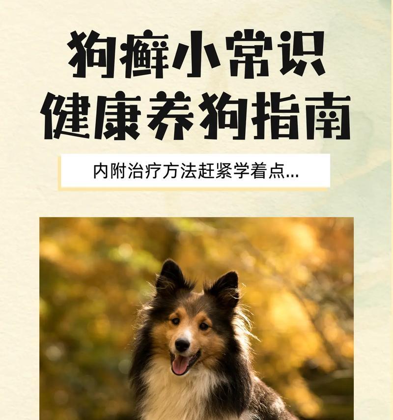 预防宠物狗病的必备药品，让狗狗远离疾病！（为家养宠物狗准备这6种常备药品，提前防患于未然！）