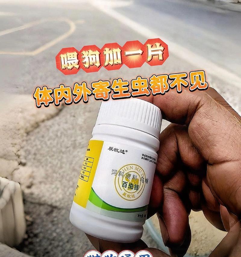 宠物猫驱虫的时间间隔（宠物猫驱虫的重要性及合理的时间间隔）