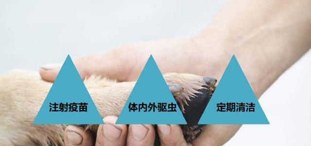 驱虫后多久可以打针？（探讨驱虫与接种疫苗的时间间隔）