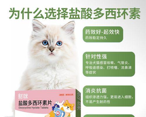 猫咪消炎药有哪些？（了解猫咪常用的消炎药品，保障它们的健康）