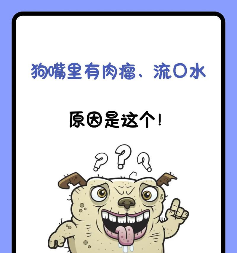 狗狗口腔疾病（探索狗狗口腔健康的关键，宠物主人必读！）