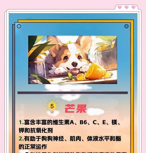 小心！狗狗不能吃的水果大揭秘（别乱喂！这7种水果对狗狗有害）
